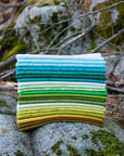 PRE ORDER OCTOBER 2026 - Color Camp Grove Fat Quarter Bundle - Alison Glass