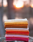 PRE ORDER OCTOBER 2026 - Color Camp Sun Fat Quarter Bundle - Alison Glass