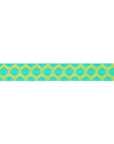 Roar! Dinosaur Eggs in Mint - 5/8" - Tula Pink - PER QUARTER METRE