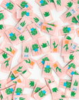 Houseplants Multipack Woven Labels - Sewing Woven Clothing T