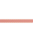 Reversible Dots Flare 3/8"- Tula Pink - PRICE PER QUARTER METRE