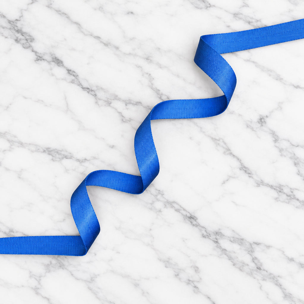 Herringbone Webbing 1" Blueberry Blitz - 3 METRE CUT