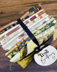 Palette Multi Linear Quarter Quarter Bundle - Tim Holtz