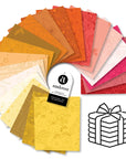 PRE ORDER OCTOBER 2026 - Color Camp Sun Fat Quarter Bundle - Alison Glass