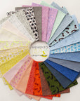 PRE ORDER JULY 2026 - Momento 5" Charm Pack - Carolyn Friedlander