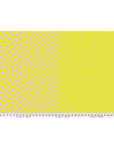 PRE ORDER APRIL 2027 - True Colors Sticks and Stones Stones Cherry Limeade - Tula Pink - PER QUARTER METRE