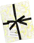 PRE ORDER SEPTEMBER 2026 - Memento Fat Quarter Bundle - Carolyn Friedlander