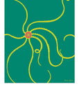 Alison Glass Art Print 16" x 20"